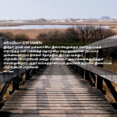 Picture 02 - எரேமியா 12:14 TAMIRV - இதோ, நான் என் - Bible Verse Picture