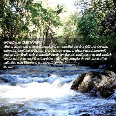 Picture 02 - எரேமியா 12:16 TAMIRV - பின்பு அவர்கள் - Bible Verse Picture