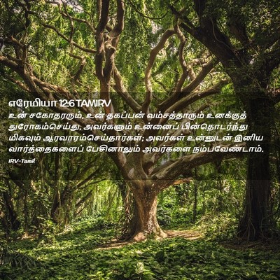 Picture 02 - எரேமியா 12:6 TAMIRV - உன் சகோதரரும், உன் - Bible Verse Picture