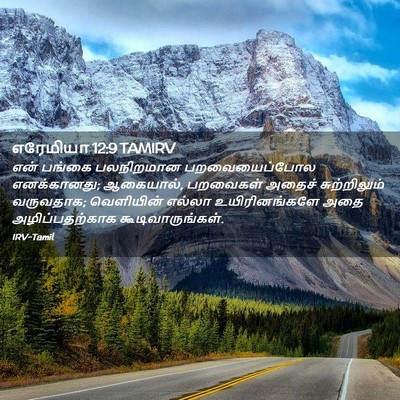 Picture 02 - எரேமியா 12:9 TAMIRV - என் பங்கை - Bible Verse Picture