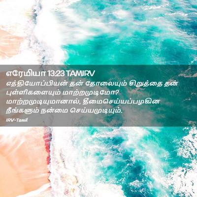 Picture 02 - எரேமியா 13:23 TAMIRV - எத்தியோப்பியன் - Bible Verse Picture