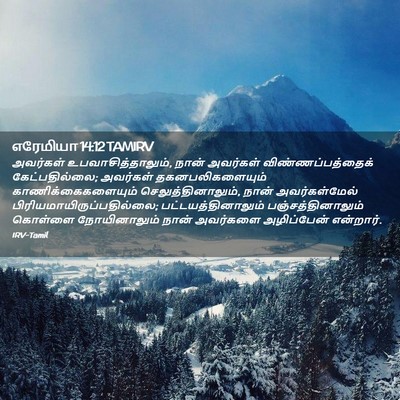Picture 02 - எரேமியா 14:12 TAMIRV - அவர்கள் - Bible Verse Picture