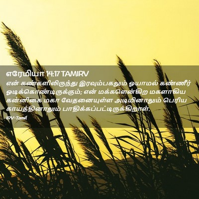 Picture 02 - எரேமியா 14:17 TAMIRV - என் - Bible Verse Picture