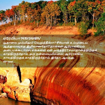 Picture 02 - எரேமியா 14:19 TAMIRV - யூதாவை முற்றிலும் - Bible Verse Picture