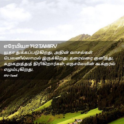 Picture 02 - எரேமியா 14:2 TAMIRV - யூதா - Bible Verse Picture