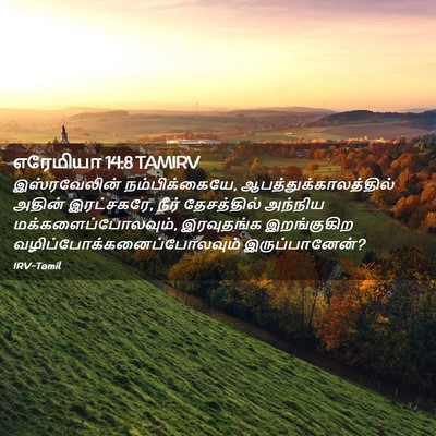 Picture 02 - எரேமியா 14:8 TAMIRV - இஸ்ரவேலின் - Bible Verse Picture