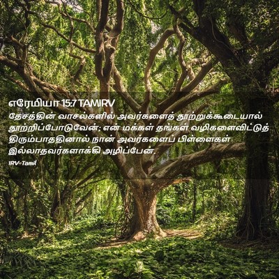 Picture 02 - எரேமியா 15:7 TAMIRV - தேசத்தின் - Bible Verse Picture