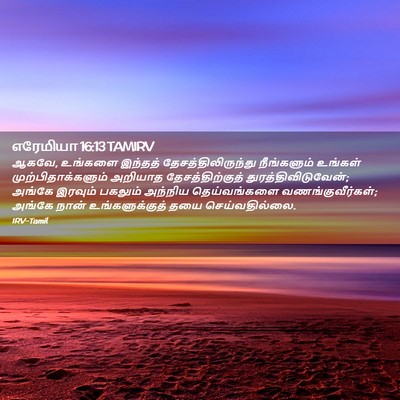 Picture 02 - எரேமியா 16:13 TAMIRV - ஆகவே, உங்களை - Bible Verse Picture
