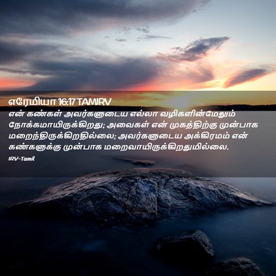 Picture 02 - எரேமியா 16:17 TAMIRV - என் கண்கள் - Bible Verse Picture