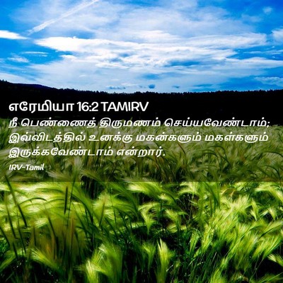 Picture 02 - எரேமியா 16:2 TAMIRV - நீ பெண்ணைத் - Bible Verse Picture