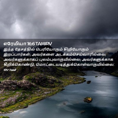 Picture 02 - எரேமியா 16:6 TAMIRV - இந்த தேசத்தில் - Bible Verse Picture