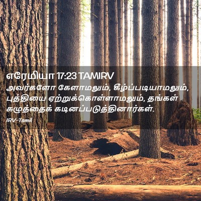 Picture 02 - எரேமியா 17:23 TAMIRV - அவர்களோ - Bible Verse Picture