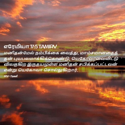 Picture 02 - எரேமியா 17:5 TAMIRV - மனிதன்மேல் - Bible Verse Picture