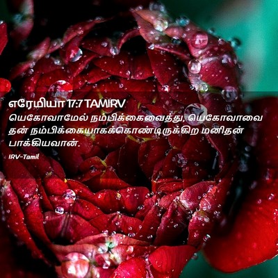 Picture 02 - எரேமியா 17:7 TAMIRV - யெகோவாமேல் - Bible Verse Picture