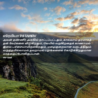 Picture 02 - எரேமியா 17:8 TAMIRV - அவன் தண்ணீர் - Bible Verse Picture