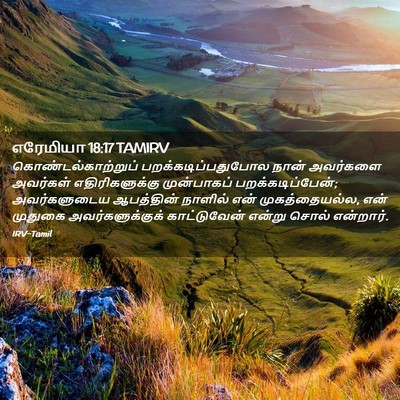 Picture 02 - எரேமியா 18:17 TAMIRV - கொண்டல்காற்றுப் - Bible Verse Picture