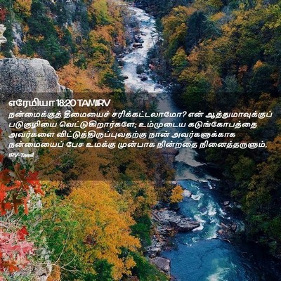 Picture 02 - எரேமியா 18:20 TAMIRV - நன்மைக்குத் - Bible Verse Picture