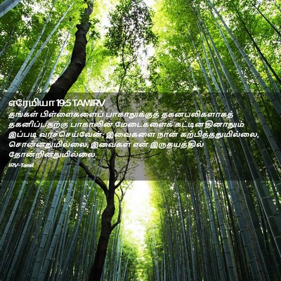 Picture 02 - எரேமியா 19:5 TAMIRV - தங்கள் - Bible Verse Picture