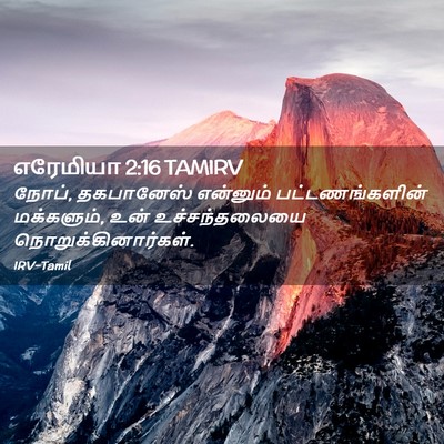 Picture 02 - எரேமியா 2:16 TAMIRV - நோப், தகபானேஸ் - Bible Verse Picture