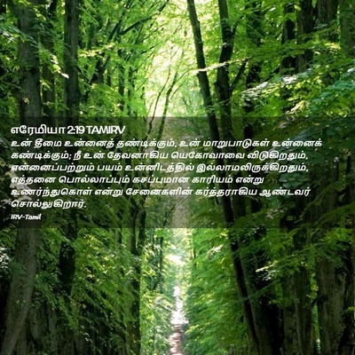 Picture 02 - எரேமியா 2:19 TAMIRV - உன் தீமை உன்னைத் - Bible Verse Picture