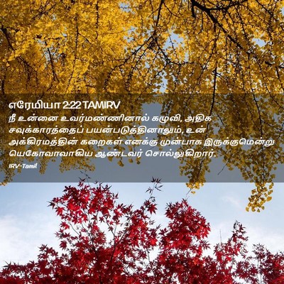 Picture 02 - எரேமியா 2:22 TAMIRV - நீ உன்னை - Bible Verse Picture