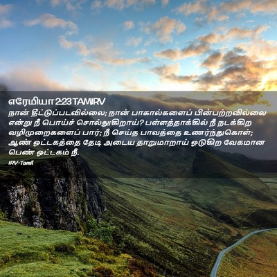 Picture 02 - எரேமியா 2:23 TAMIRV - நான் - Bible Verse Picture