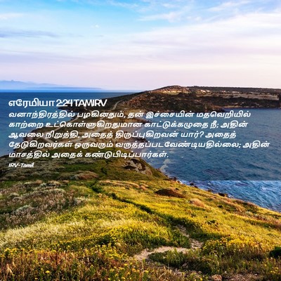 Picture 02 - எரேமியா 2:24 TAMIRV - வனாந்திரத்தில் - Bible Verse Picture