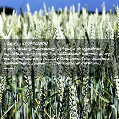 Picture 02 - எரேமியா 2:25 TAMIRV - உன் கால் - Bible Verse Picture