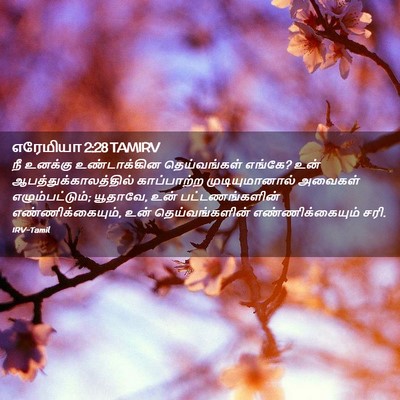 Picture 02 - எரேமியா 2:28 TAMIRV - நீ உனக்கு - Bible Verse Picture