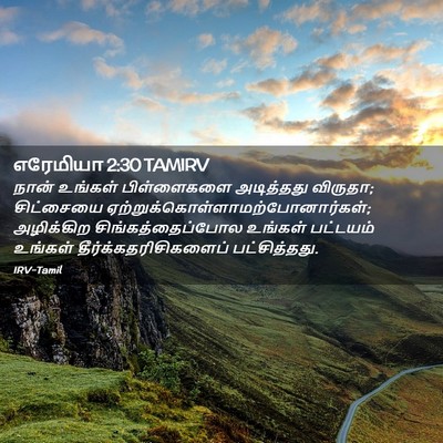 Picture 02 - எரேமியா 2:30 TAMIRV - நான் உங்கள் - Bible Verse Picture