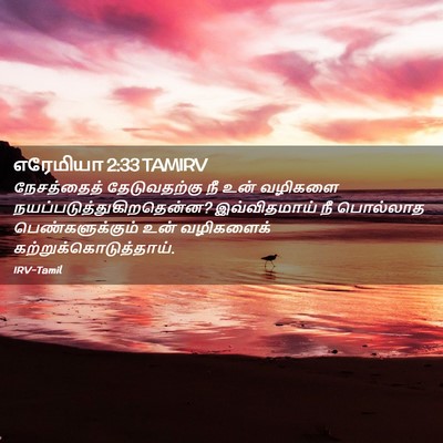 Picture 02 - எரேமியா 2:33 TAMIRV - நேசத்தைத் - Bible Verse Picture