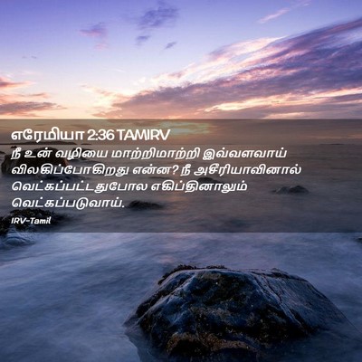 Picture 02 - எரேமியா 2:36 TAMIRV - நீ உன் வழியை - Bible Verse Picture