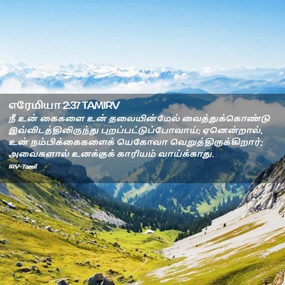 Picture 02 - எரேமியா 2:37 TAMIRV - நீ உன் கைகளை உன் - Bible Verse Picture