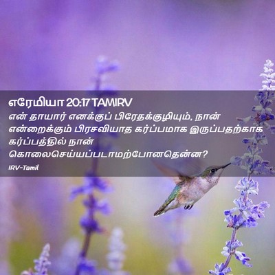 Picture 02 - எரேமியா 20:17 TAMIRV - என் தாயார் - Bible Verse Picture