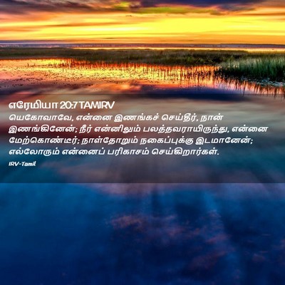 Picture 02 - எரேமியா 20:7 TAMIRV - யெகோவாவே, என்னை - Bible Verse Picture