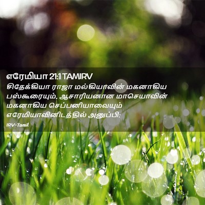 Picture 02 - எரேமியா 21:1 TAMIRV - சிதேக்கியா ராஜா - Bible Verse Picture