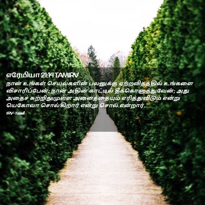 Picture 02 - எரேமியா 21:14 TAMIRV - நான் உங்கள் - Bible Verse Picture