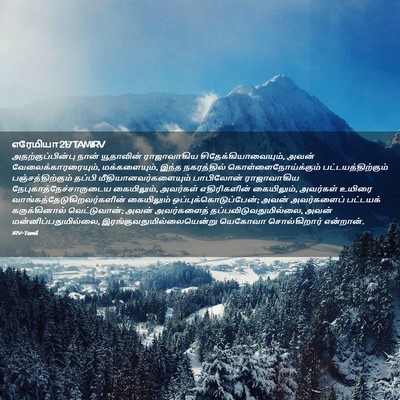 Picture 02 - எரேமியா 21:7 TAMIRV - அதற்குப்பின்பு - Bible Verse Picture
