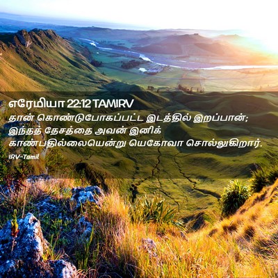Picture 02 - எரேமியா 22:12 TAMIRV - தான் - Bible Verse Picture