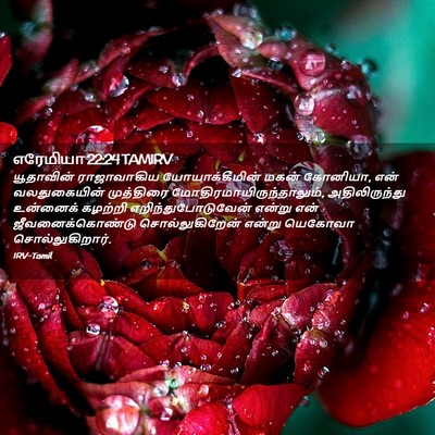 Picture 02 - எரேமியா 22:24 TAMIRV - யூதாவின் - Bible Verse Picture