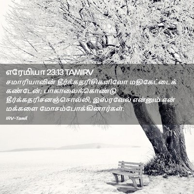 Picture 02 - எரேமியா 23:13 TAMIRV - சமாரியாவின் - Bible Verse Picture