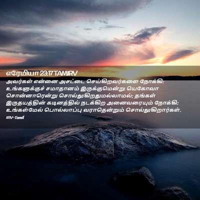 Picture 02 - எரேமியா 23:17 TAMIRV - அவர்கள் என்னை - Bible Verse Picture