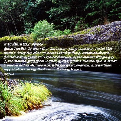 Picture 02 - எரேமியா 23:2 TAMIRV - இஸ்ரவேலின் - Bible Verse Picture