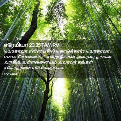 Picture 02 - எரேமியா 23:35 TAMIRV - யெகோவா என்ன பதில் - Bible Verse Picture