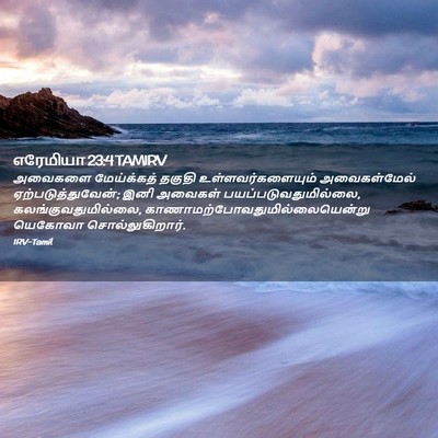 Picture 02 - எரேமியா 23:4 TAMIRV - அவைகளை மேய்க்கத் - Bible Verse Picture