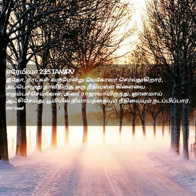 Picture 02 - எரேமியா 23:5 TAMIRV - இதோ, நாட்கள் - Bible Verse Picture