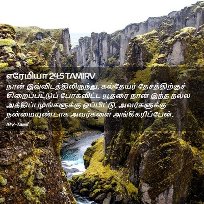Picture 02 - எரேமியா 24:5 TAMIRV - நான் - Bible Verse Picture