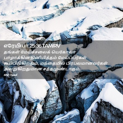 Picture 02 - எரேமியா 25:36 TAMIRV - தங்கள் - Bible Verse Picture
