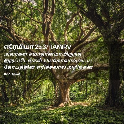 Picture 02 - எரேமியா 25:37 TAMIRV - அவர்கள் - Bible Verse Picture