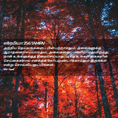Picture 02 - எரேமியா 25:6 TAMIRV - அந்நிய - Bible Verse Picture